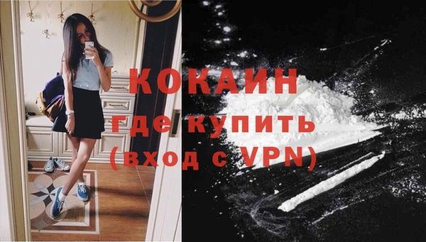 соль курить ск Богданович