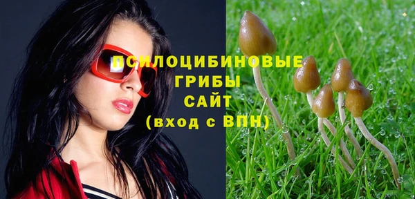 гидропоника Богородск
