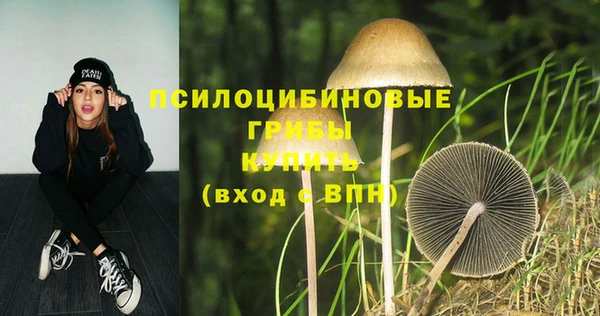 ALPHA PVP Богородицк